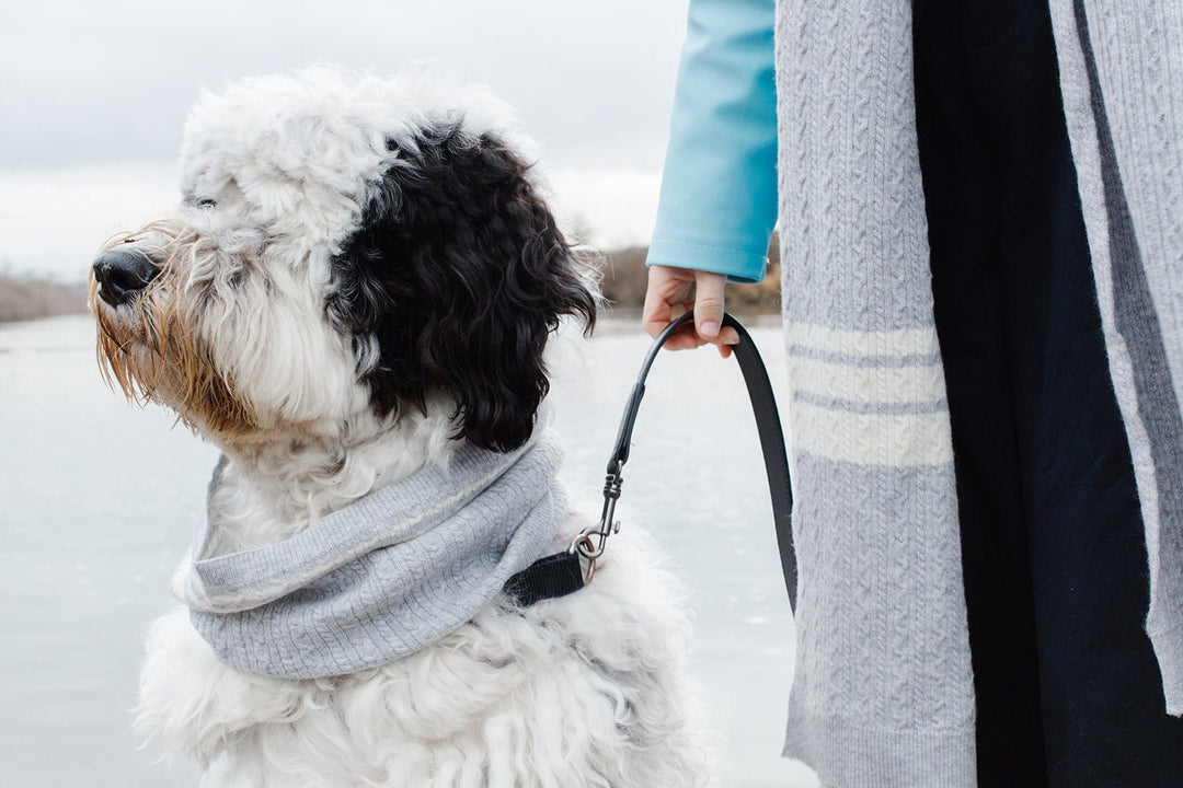 Bespoke Paws Cashmere Blend Pet &amp; Owner Scarf Set, Heather Grey
