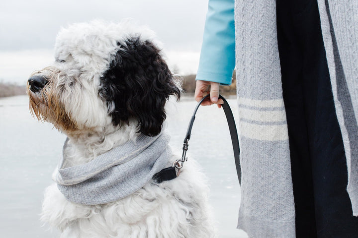 Bespoke Paws Cashmere Blend Pet &amp; Owner Scarf Set, Heather Grey