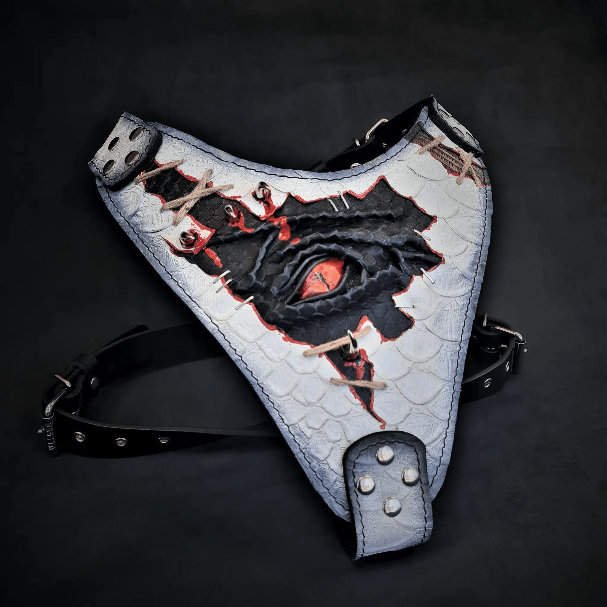 The “Dragon's Eye” Harness LIMITED! - Pet Collars & Harnesses from Bestia Dog Gear