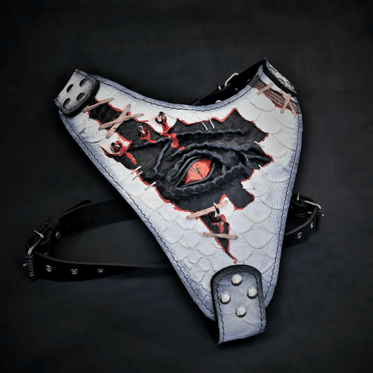 The “Dragon's Eye” Harness LIMITED! - Pet Collars & Harnesses from Bestia Dog Gear