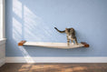 Load image into Gallery viewer, Hanging cat bed hammock, cream fabric with wooden end caps on a blue wall, cat standing on it
