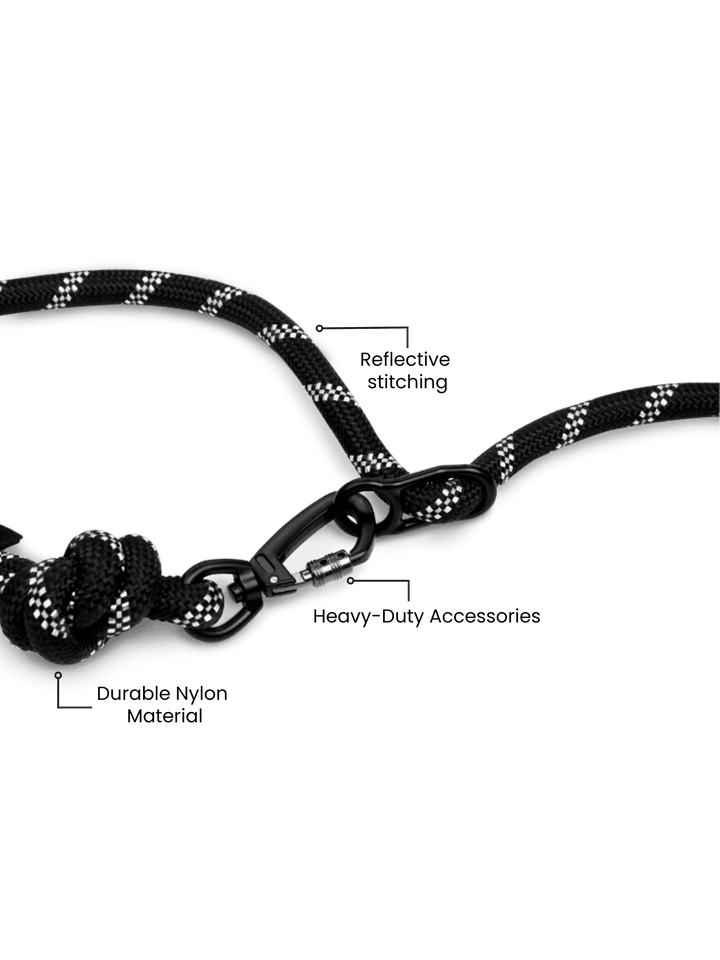 Rove Blackout Elite Running Leash For Active Dogs Hands-Free Black by Runner&