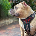 Charger l'image dans la visionneuse de la galerie, The ''Haunted'' harness LIMITED - Pet Collars & Harnesses from Bestia Dog Gear
