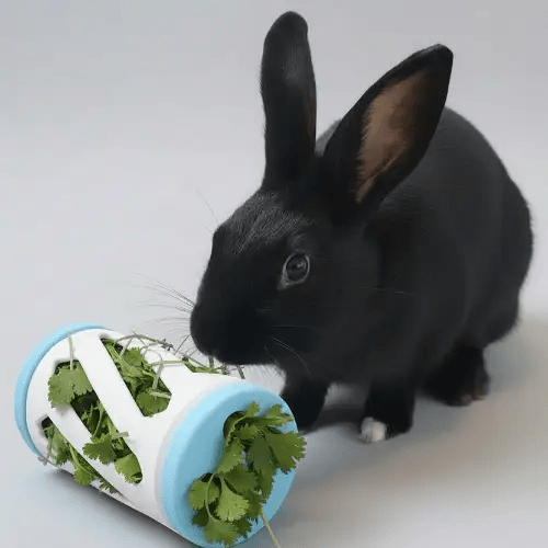 Hay Roller Rabbit Foraging Toy With Greens Holder Active Enrichment by Bunny Business