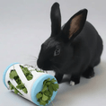 Load image into Gallery viewer, Hay Roller Rabbit Foraging Toy With Greens Holder Active Enrichment by Bunny Business
