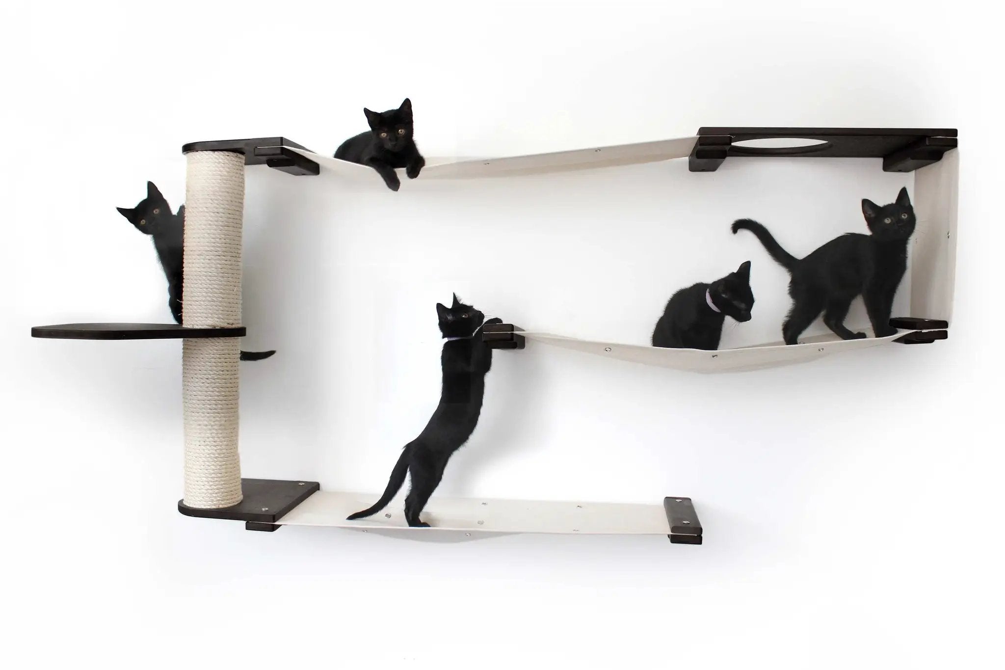 Cat Maze Wall - 3 Tier Cat Tree, four black cats on beige platforms and rope post