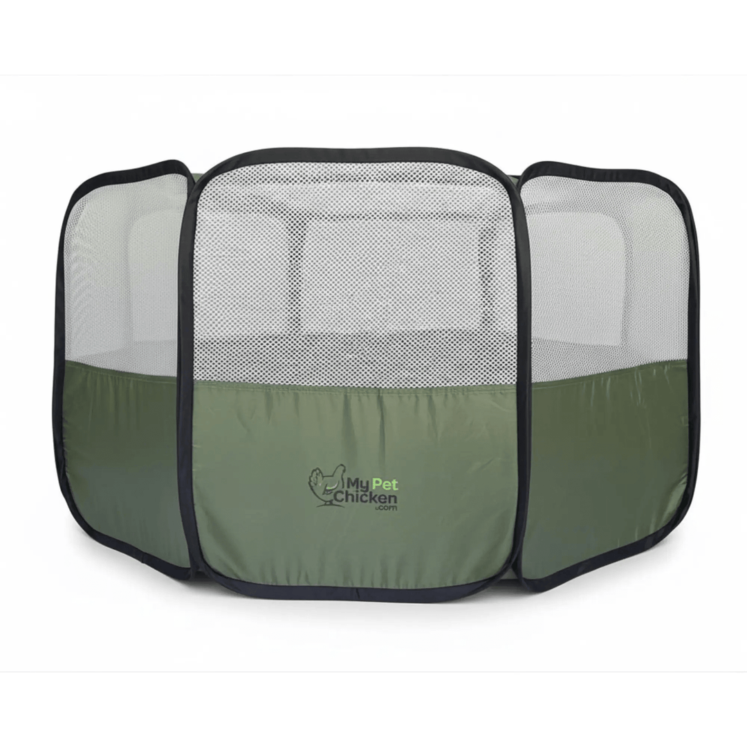 Hen Pen Starter Pop-Up Chick Brooder by My Pet Chicken, green with mesh panels.