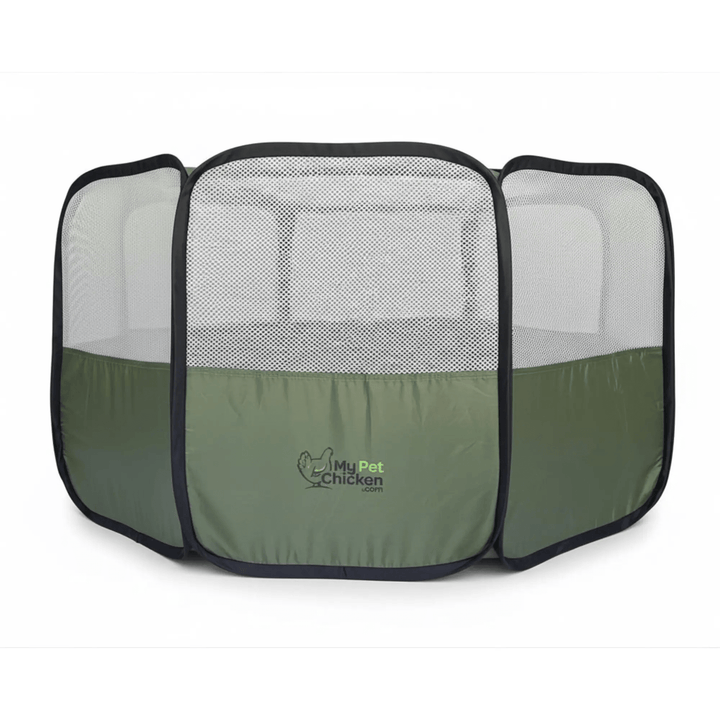 Hen Pen Starter Pop-Up Chick Brooder by My Pet Chicken, green with mesh panels.