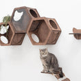 Load image into Gallery viewer, Luxury Dark Walnut Hexagon Cat Wall Shelves Climbing Kit For Home by Enjoy The Wood
