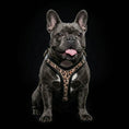 Bild in Galerie-Betrachter laden, Bestia Dog Gear Genuine Leather Leopard Harness Small To Medium Size by Bestia Dog Gear

