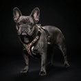 Bild in Galerie-Betrachter laden, Bestia Dog Gear Genuine Leather Leopard Harness Small To Medium Size by Bestia Dog Gear
