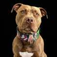 Carica l'immagine nel visualizzatore della galleria, The “Ghostbuster” collar -LIMITED - Pet Collars & Harnesses from Bestia Dog Gear
