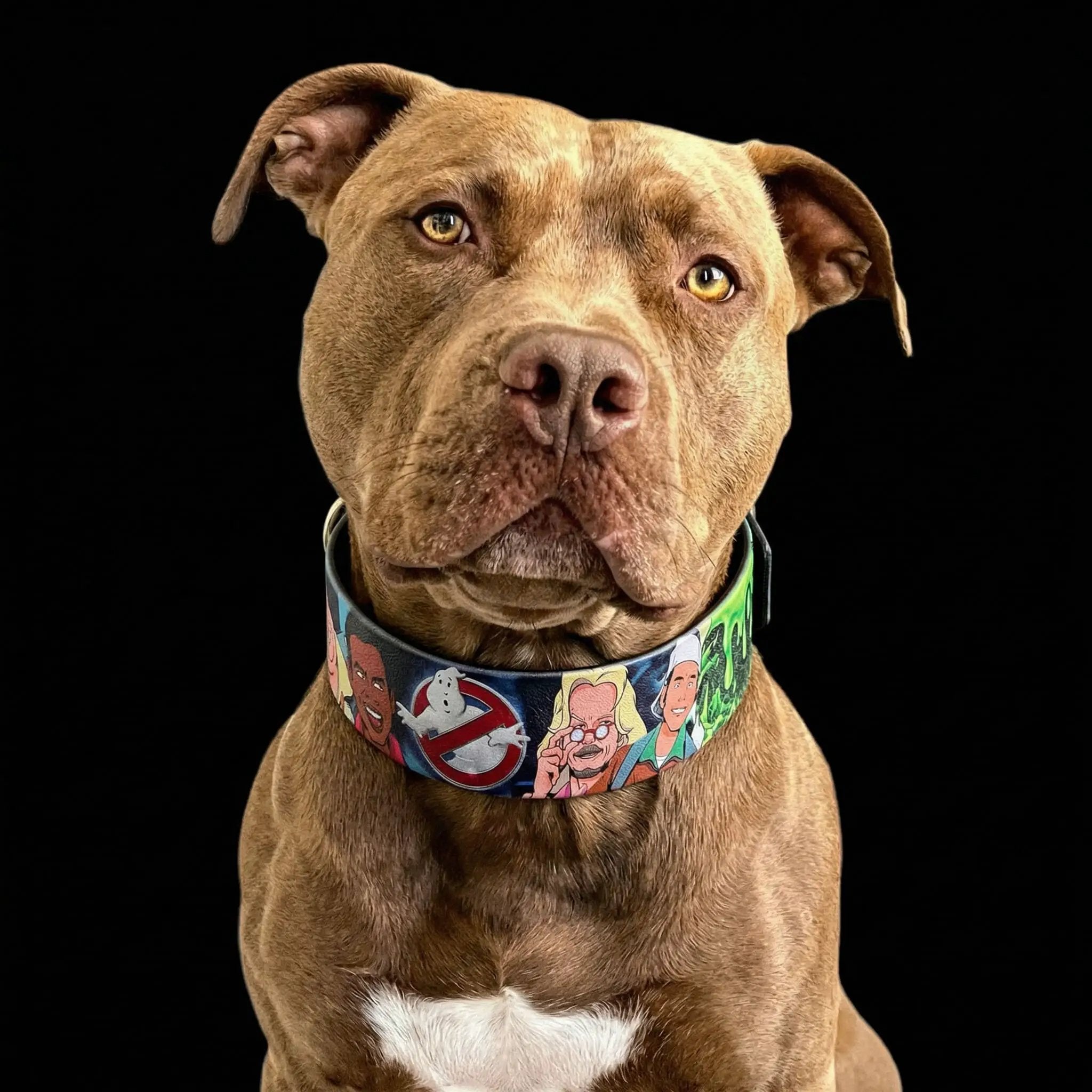 The “Ghostbuster” collar -LIMITED - Pet Collars & Harnesses from Bestia Dog Gear