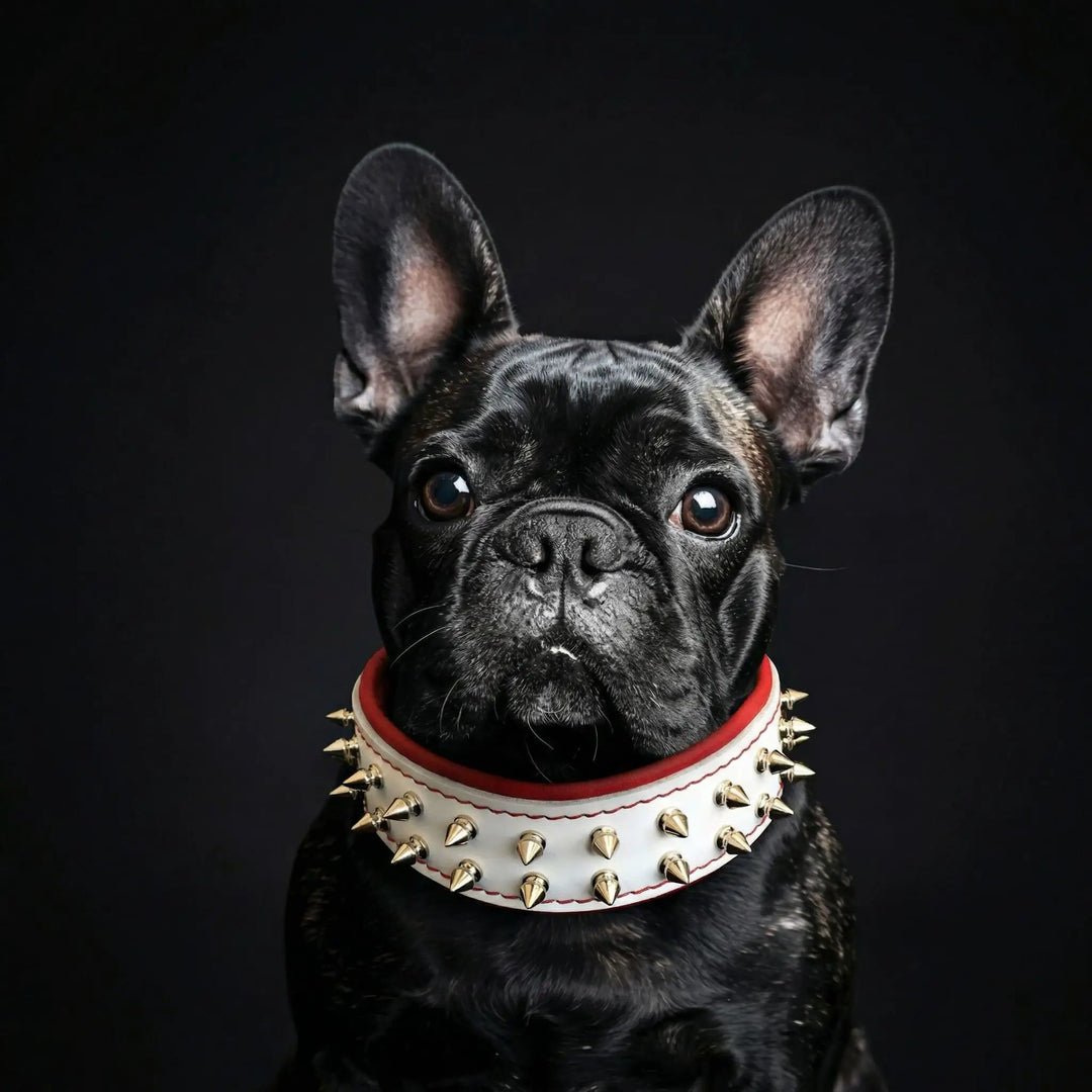 White "Frenchie" dog collar - Pet Collars &amp; Harnesses from Bestia Dog Gear