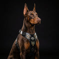 Load image into Gallery viewer, Bestia Atlantis black and chameleon leather dog harness, view 2

