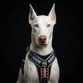 Load image into Gallery viewer, The "Candy" Black Harness - Harnesses from Bestia Dog Gear

