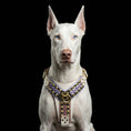 Carica l'immagine nel visualizzatore della galleria, THE CANDY Harness - Pet Collars & Harnesses from Bestia Dog Gear
