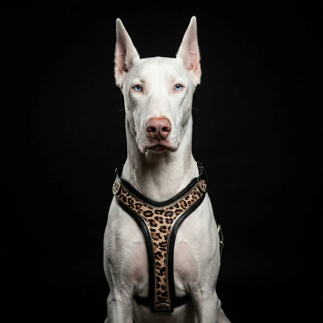 Bestia Leopard print leather dog harness