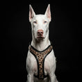 Load image into Gallery viewer, Bestia Dog Gear Leopard Harness Durable Design And Elegance Limited Edition Pre Order Available For Dogs by Bestia Dog Gear
