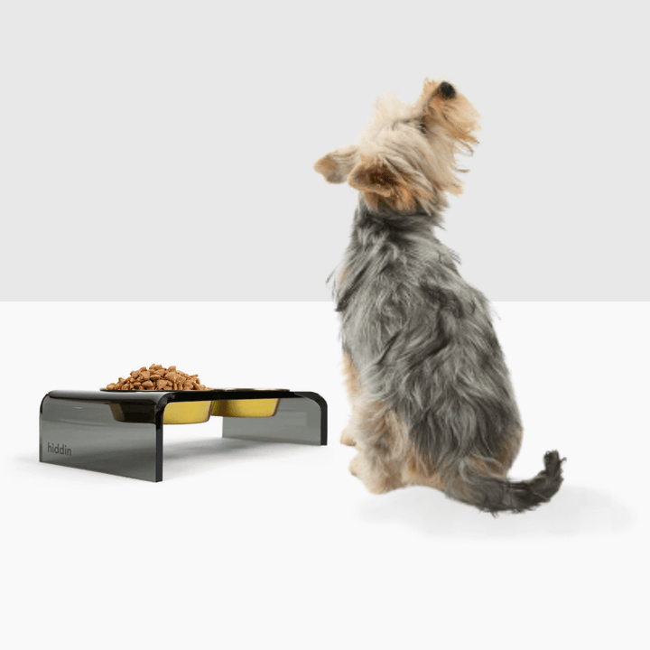 Hiddin Smoke Grey Acrylic Double Feeder – 3 in High