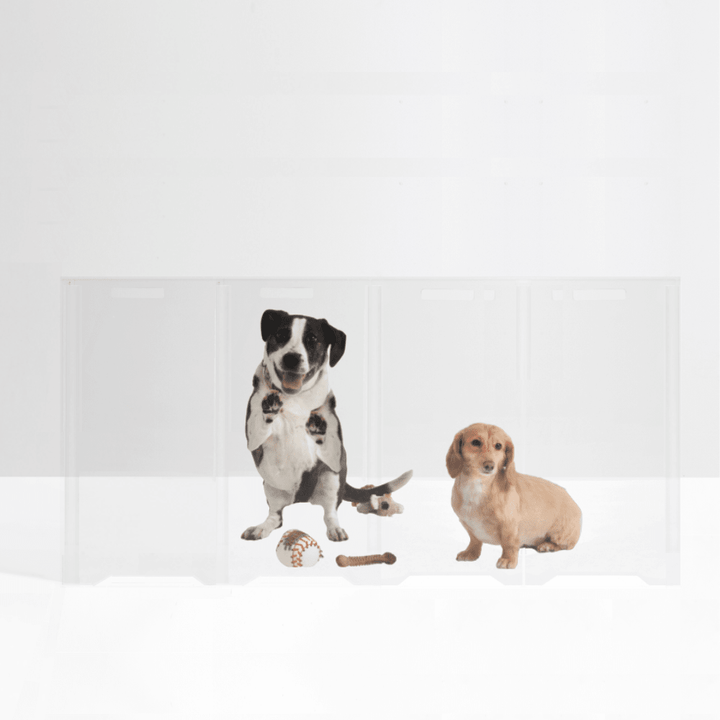 Hiddin Clear Front Pet Gate with Pivoting Side Panels
