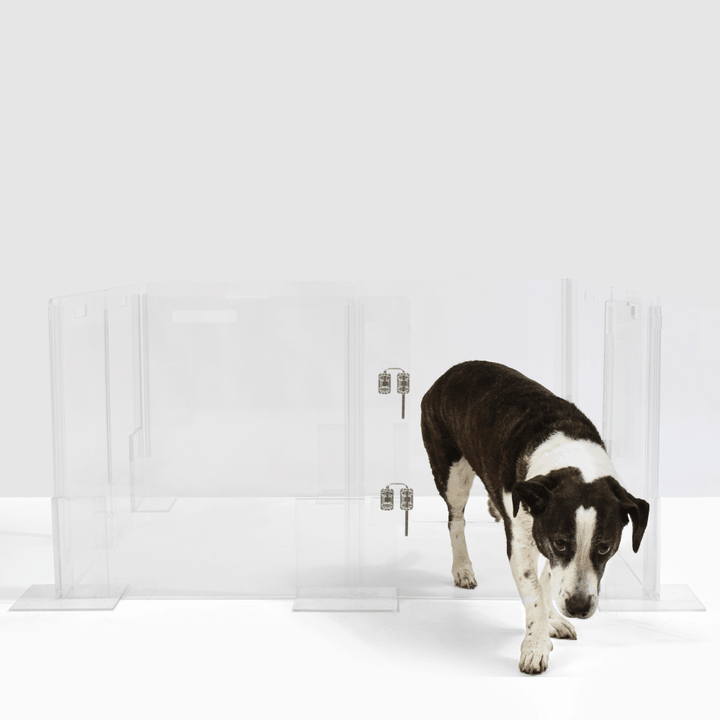 Hiddin Clear Acrylic Pet Playpen with Door – 32 in High