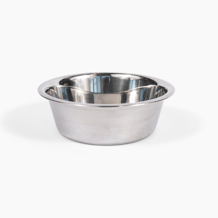Hiddin Clear Acrylic Single Feeder with Silver Bowl – 12 in High