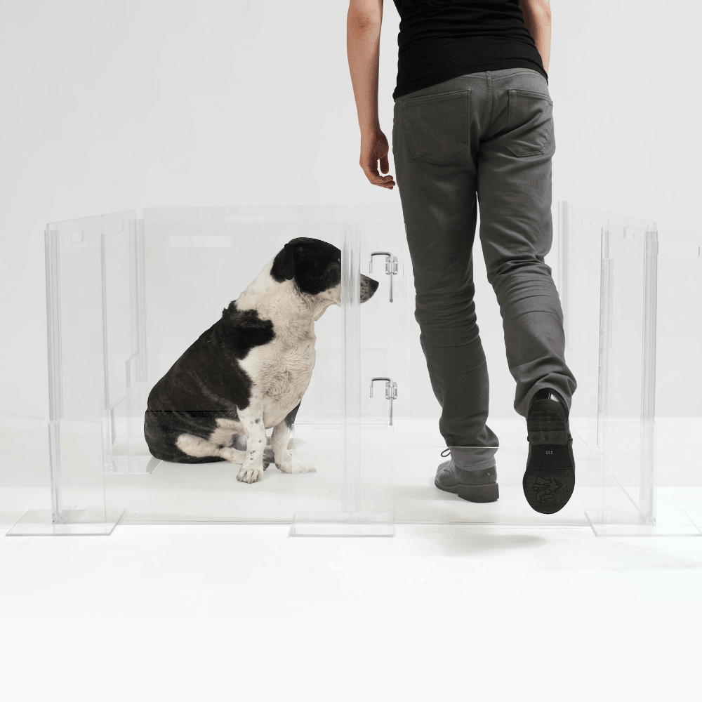 Hiddin Clear Acrylic Pet Playpen with Door – 32 in High