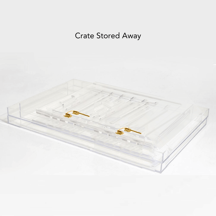 Hiddin Clear Acrylic Dog Crate – Large, Gold Latch