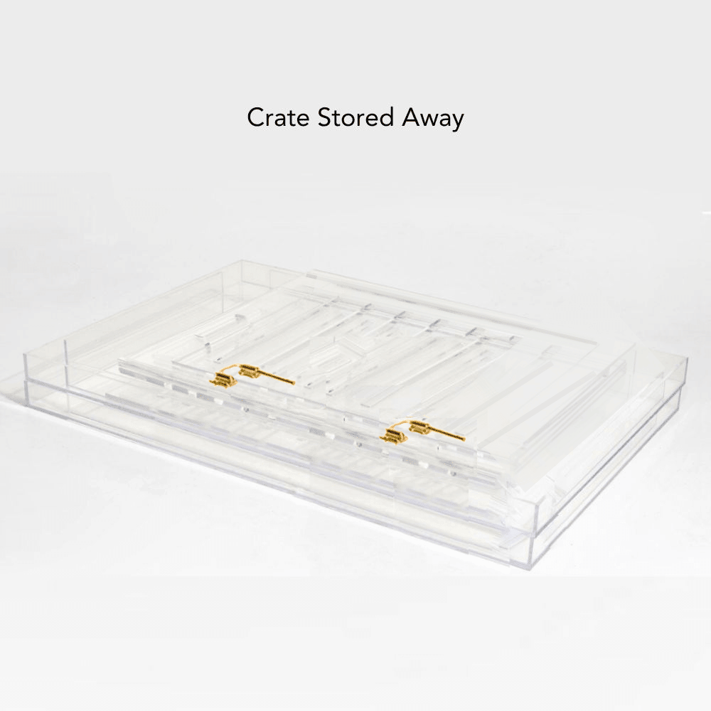 Hiddin Clear Acrylic Dog Crate – Medium, Gold Latch