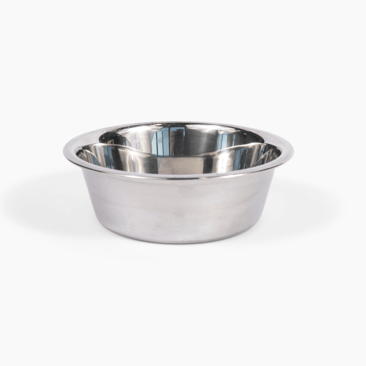 Hiddin Clear Acrylic Double Feeder with Silver Bowls – 3 in High