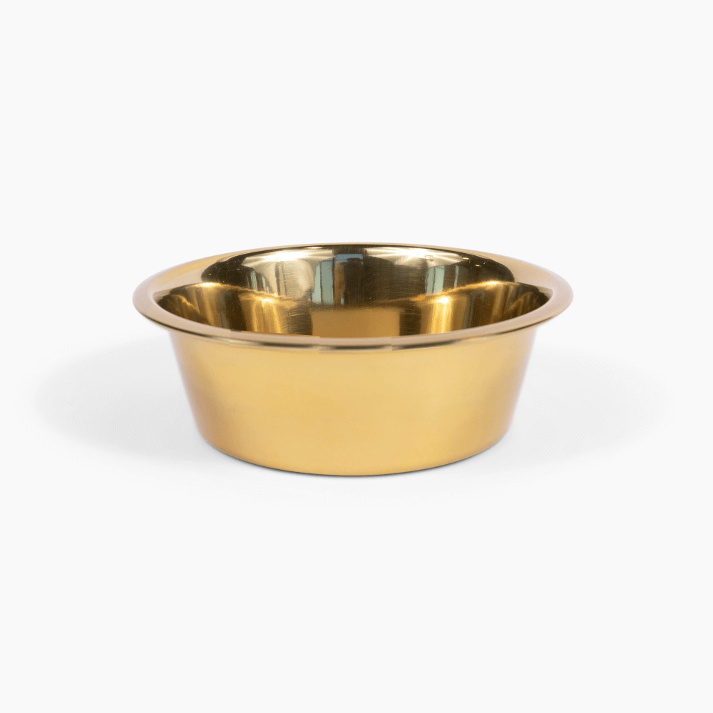 Hiddin Stainless Steel Pet Bowls – Set of 2