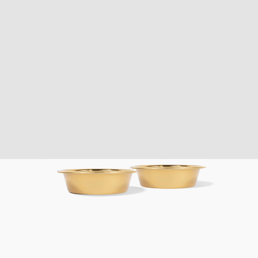 Hiddin Stainless Steel Pet Bowls – Set of 2
