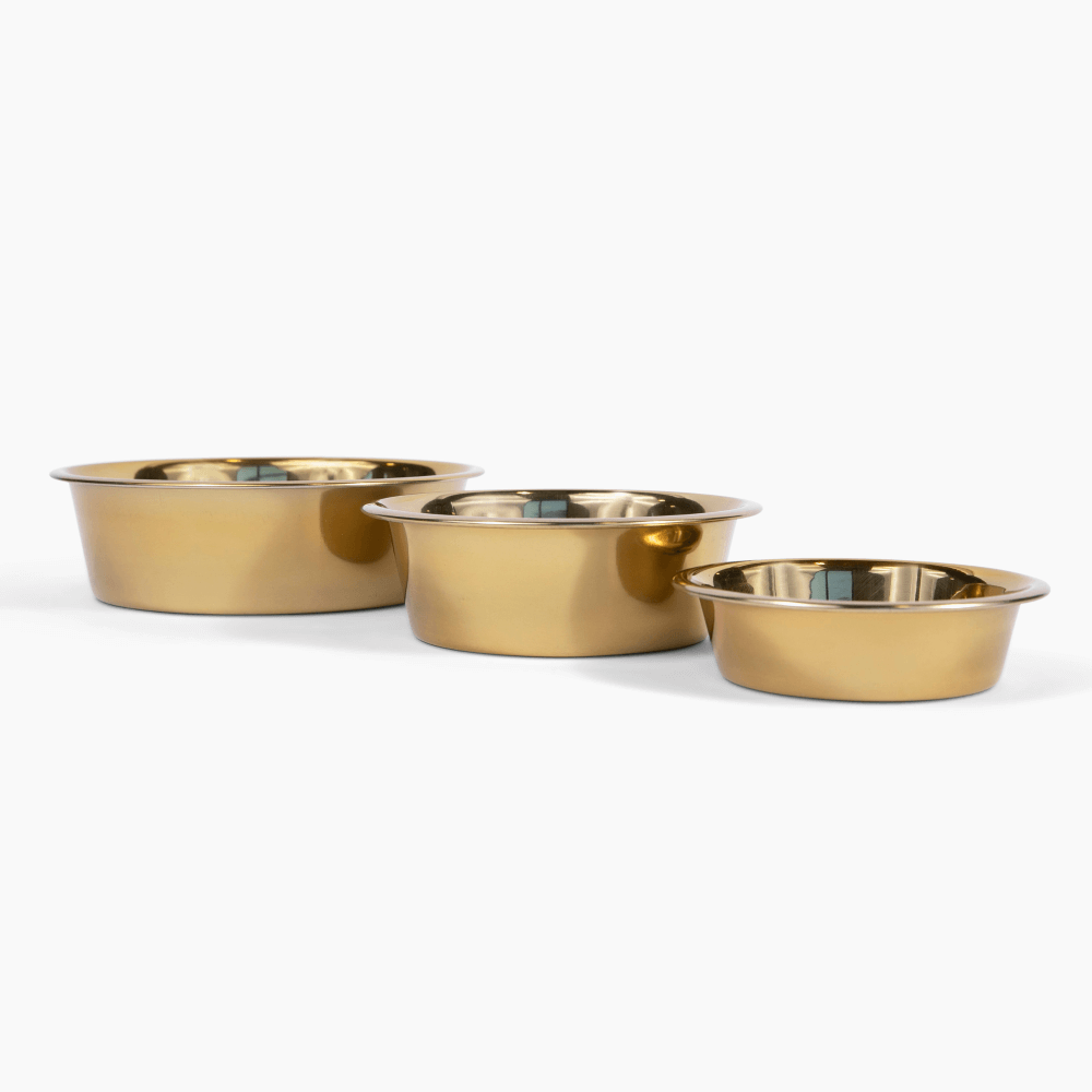 Hiddin Stainless Steel Pet Bowls – Set of 2