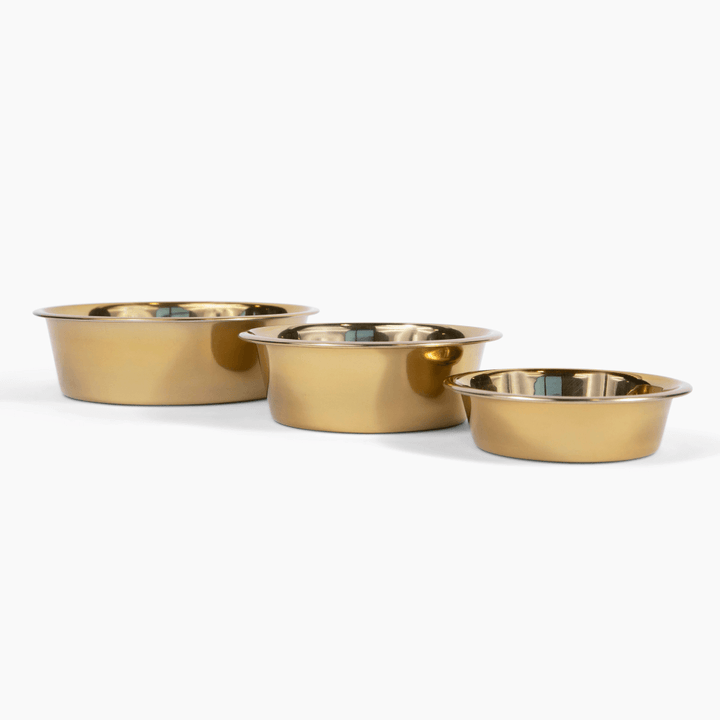 Hiddin Stainless Steel Pet Bowls – Set of 2