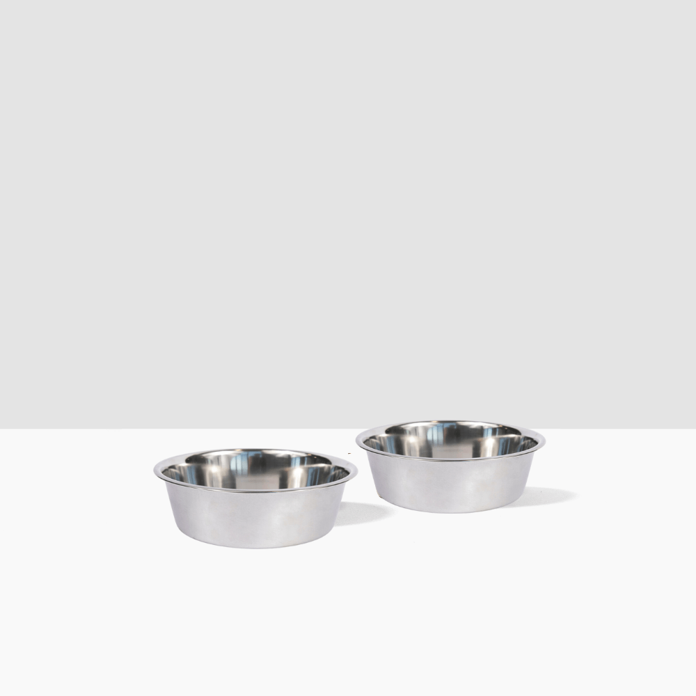 Hiddin Stainless Steel Pet Bowls – Set of 2