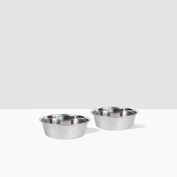 Hiddin Stainless Steel Pet Bowls – Set of 2