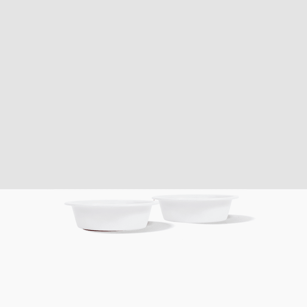 Hiddin Stainless Steel Pet Bowls – Set of 2