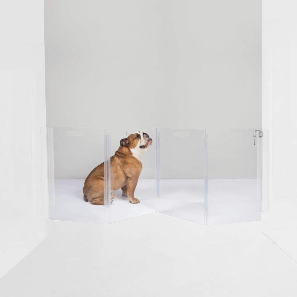 Hiddin Clear Acrylic Wall-Mounted Zig Zag Pet Gate – 24 in High