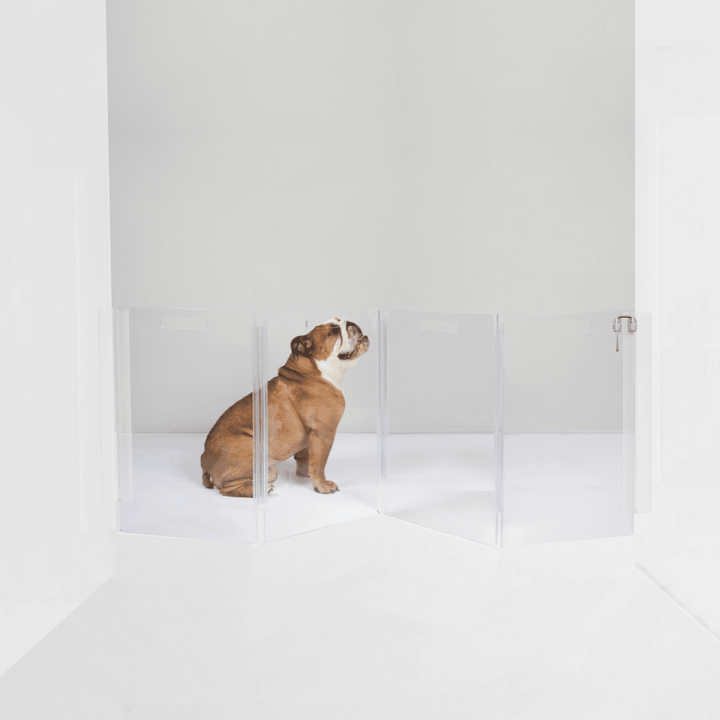 Hiddin Clear Acrylic Wall-Mounted Zig Zag Pet Gate – 24 in High
