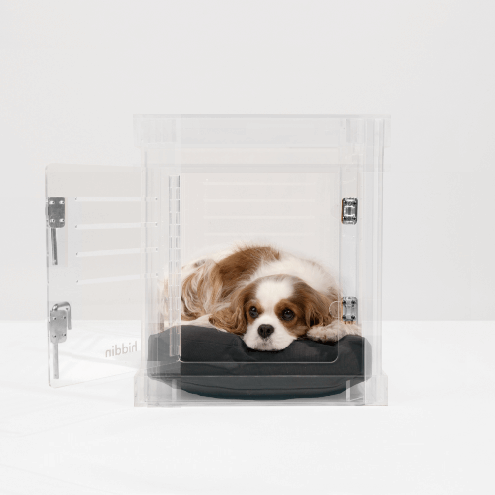 Hiddin Clear Acrylic Dog Crate – Small, Silver Latch