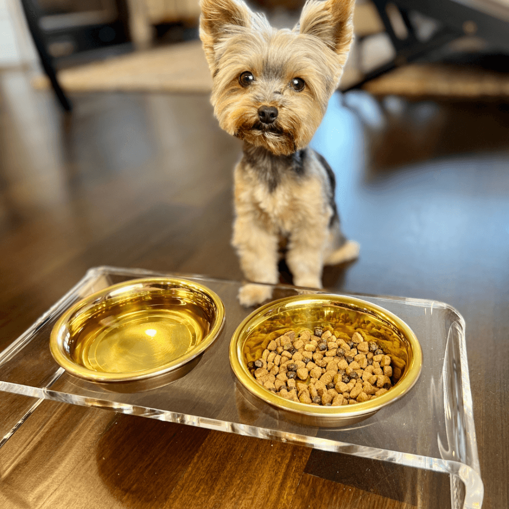 Hiddin Clear Acrylic Double Feeder with Gold Bowls – 3 in High