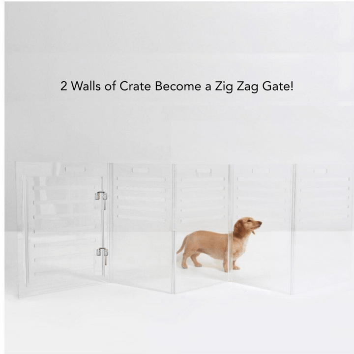 Hiddin Clear Acrylic Dog Crate – Small, Silver Latch
