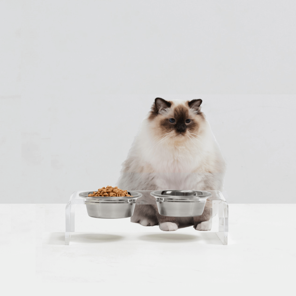 Hiddin Clear Acrylic Double Feeder with Silver Bowls – 3 in High