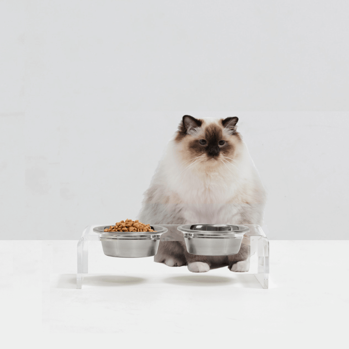 Hiddin Clear Acrylic Double Feeder with Silver Bowls – 3 in High