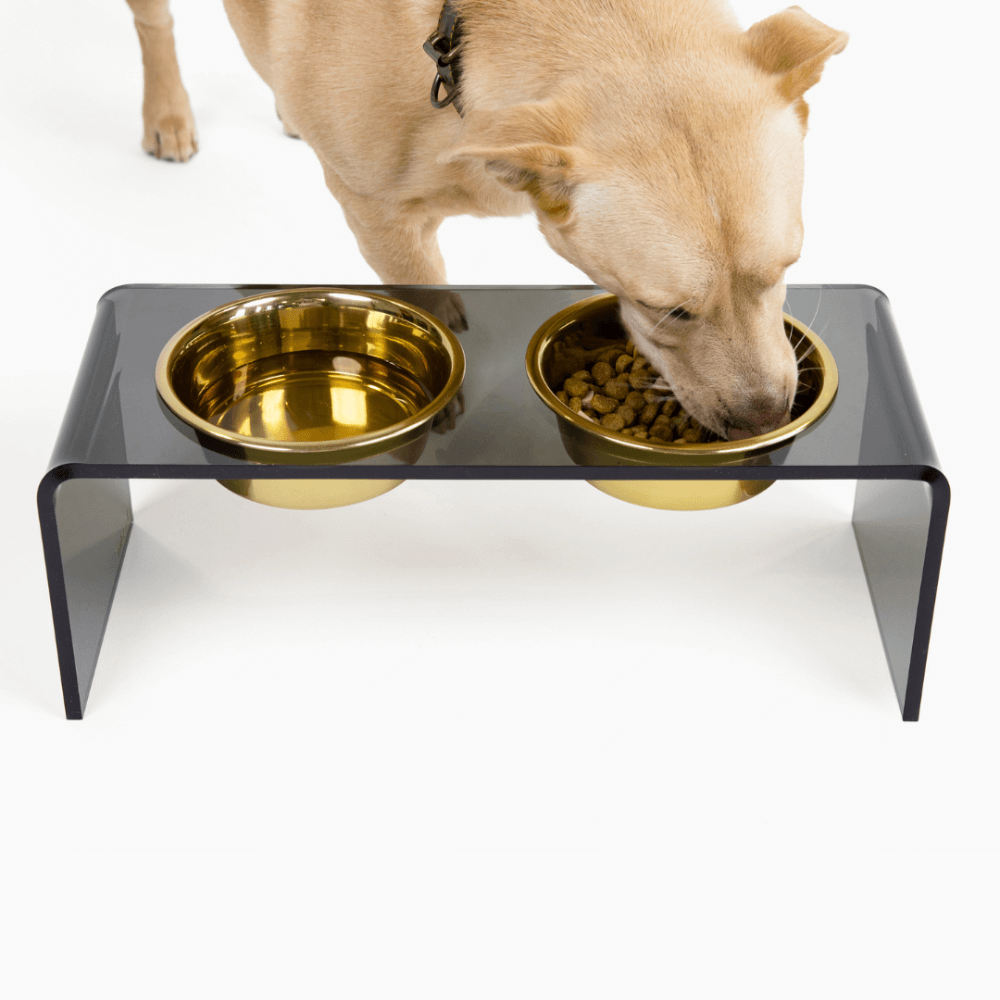 Hiddin Smoke Grey Acrylic Double Feeder – 7 in High