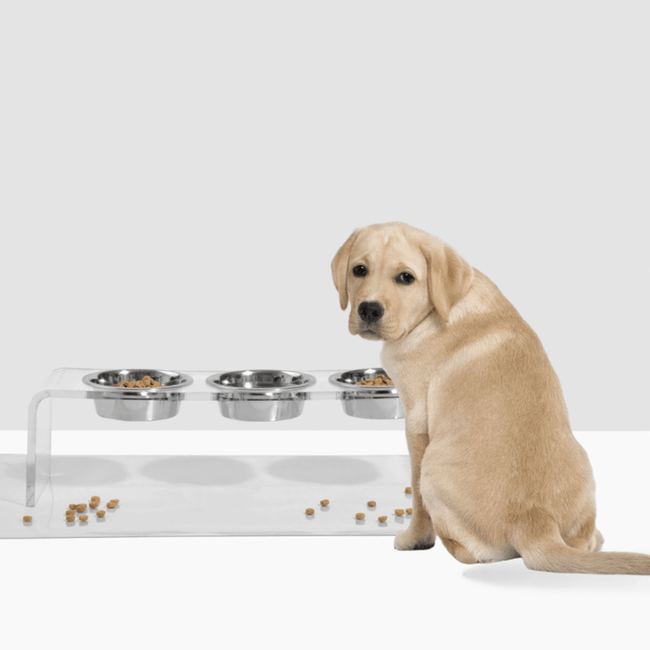 Hiddin Clear Acrylic Triple Feeder with Silver Bowls – 7 in High