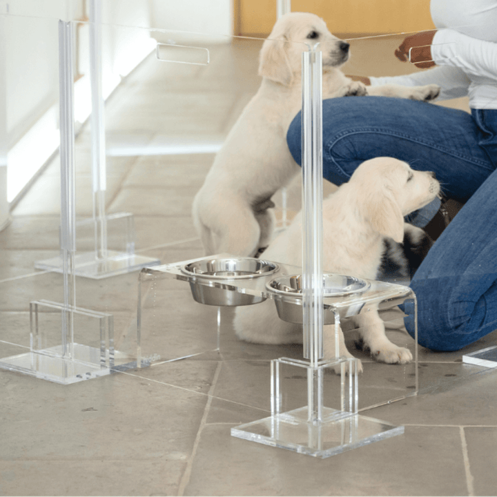 Hiddin Clear Acrylic Pet Playpen with Door – 24 in High