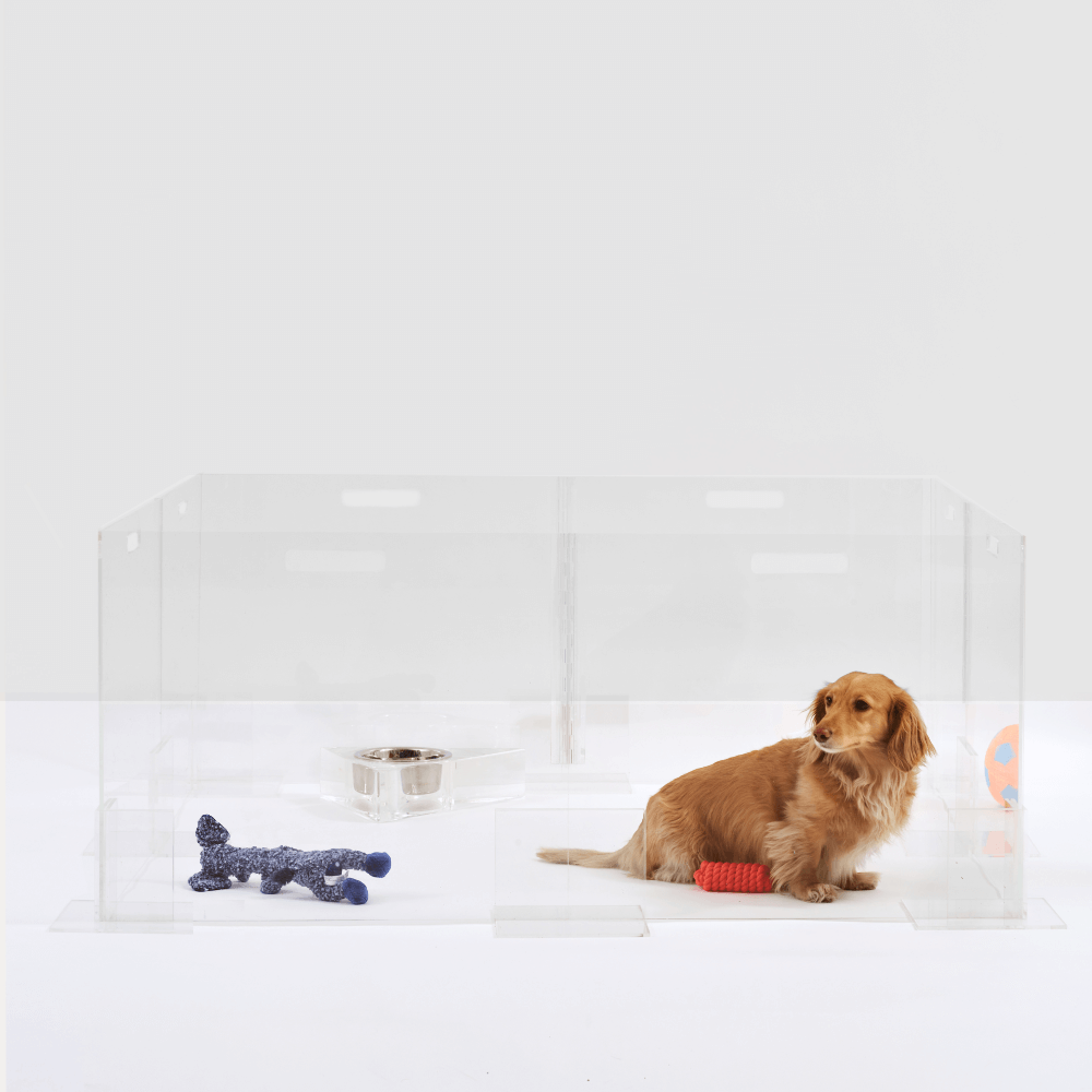 Hiddin Clear Acrylic Step-Over Pet Playpen – 24 in High