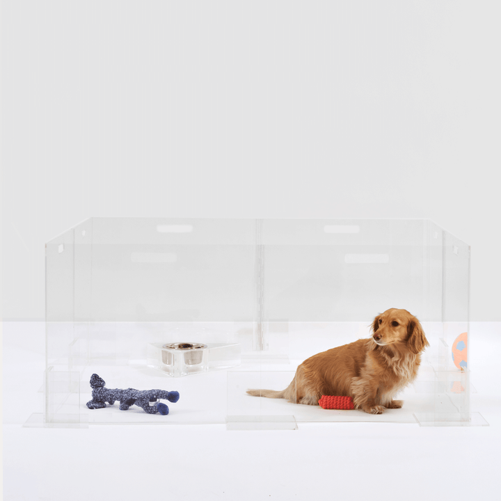 Hiddin Clear Acrylic Step-Over Pet Playpen – 24 in High